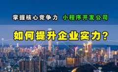 掌握核心竞争力，小程序开发公司如何提升企业实力？